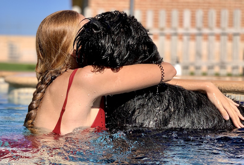 cachorro-schnauzer-gigante-aston-piscina